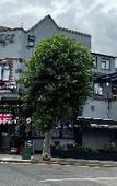 Туры в отель The Barrington Hotel Туры в отель The Barrington Hotel