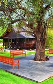 Туры в отель Samawa Seaside Resort Туры в отель Samawa Seaside Resort