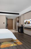 Туры в отель Hampton by Hilton Ankang Hi-Tech Zone Туры в отель Hampton by Hilton Ankang Hi-Tech Zone