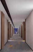 Туры в отель Hampton by Hilton Ankang Hi-Tech Zone Туры в отель Hampton by Hilton Ankang Hi-Tech Zone