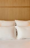 Туры в отель GRAND MESS Clermont-Ferrand Туры в отель GRAND MESS Clermont-Ferrand