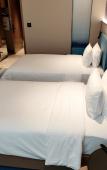 Туры в отель Hampton by Hilton Wuhan Baishazhou Avenue Hotel Туры в отель Hampton by Hilton Wuhan Baishazhou Avenue Hotel