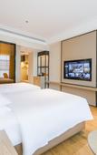 Туры в отель Vienna International Hotel (Asia International Branch of Xi 'an Convention and Exhibition Center) Туры в отель Vienna International Hotel (Asia International Branch of Xi 'an Convention and Exhibition Center)