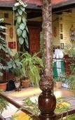 Туры в отель Hostal-Pension Vergara Туры в отель Hostal-Pension Vergara
