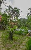 Туры в отель Sebatu Tulen Villa Туры в отель Sebatu Tulen Villa