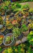 Туры в отель Ella Flower Garden Resort Туры в отель Ella Flower Garden Resort