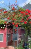 Туры в отель CHILL HOUSE by the beach Туры в отель CHILL HOUSE by the beach
