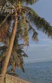 Туры в отель CHILL HOUSE by the beach Туры в отель CHILL HOUSE by the beach