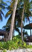 Туры в отель Island Life Maldives Retreat & Spa Туры в отель Island Life Maldives Retreat & Spa