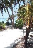 Туры в отель Island Life Maldives Retreat & Spa Туры в отель Island Life Maldives Retreat & Spa