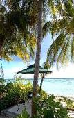 Туры в отель Island Life Maldives Retreat & Spa Туры в отель Island Life Maldives Retreat & Spa