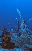 Туры в отель Rashuthere Maldives Туры в отель Rashuthere Maldives