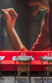 Туры в отель ibis Tijuana Туры в отель ibis Tijuana