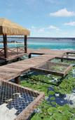 Туры в отель Amaranto Hotel Boutique Туры в отель Amaranto Hotel Boutique