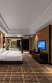 Туры в отель Tianfu Jiuding International Hotel Туры в отель Tianfu Jiuding International Hotel