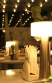 Туры в отель Shada Sea Hotel Туры в отель Shada Sea Hotel