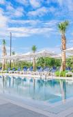 Туры в отель The Perry Hotel Naples Туры в отель The Perry Hotel Naples