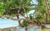 Туры в отель INARA Siargao Туры в отель INARA Siargao