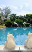Туры в отель Seashell Resort Koh Tao Туры в отель Seashell Resort Koh Tao