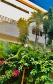 Туры в отель Peaceful Hotel Туры в отель Peaceful Hotel