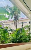 Туры в отель Peaceful Hotel Туры в отель Peaceful Hotel