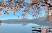 Туры в отель ORCHID Hotel Туры в отель ORCHID Hotel