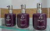 Туры в отель ORCHID Hotel Туры в отель ORCHID Hotel