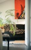 Туры в отель Patio des Reves Туры в отель Patio des Reves