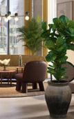 Туры в отель OKKO Hotels Troyes Centre Туры в отель OKKO Hotels Troyes Centre