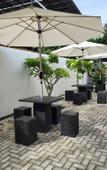 Туры в отель Neem Tree House Туры в отель Neem Tree House