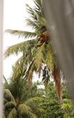 Туры в отель Blissview Maldives Туры в отель Blissview Maldives