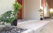 Туры в отель Casa Paliton Siquijor near Beach Туры в отель Casa Paliton Siquijor near Beach