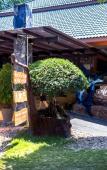 Туры в отель Andaman Beach Resort Туры в отель Andaman Beach Resort