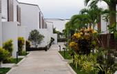 Туры в отель LIME Resort Bohol, a member of Radisson Individuals Premier Туры в отель LIME Resort Bohol, a member of Radisson Individuals Premier