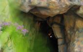 Туры в отель The Peak Sanctuary - Dien Tien Mountain Туры в отель The Peak Sanctuary - Dien Tien Mountain
