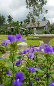 Туры в отель Evergreen Kohchang Resort Туры в отель Evergreen Kohchang Resort