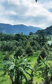 Туры в отель Evergreen Kohchang Resort Туры в отель Evergreen Kohchang Resort