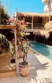 Туры в отель The Soul House Bali Туры в отель The Soul House Bali