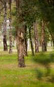 Туры в отель House of Jasmines - Relais & Chateaux Туры в отель House of Jasmines - Relais & Chateaux