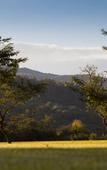 Туры в отель House of Jasmines - Relais & Chateaux Туры в отель House of Jasmines - Relais & Chateaux