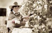 Туры в отель House of Jasmines - Relais & Chateaux Туры в отель House of Jasmines - Relais & Chateaux