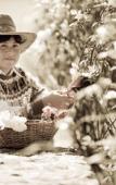 Туры в отель House of Jasmines - Relais & Chateaux Туры в отель House of Jasmines - Relais & Chateaux