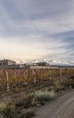 Туры в отель Auberge Du Vin, Tupungato, Mendoza Туры в отель Auberge Du Vin, Tupungato, Mendoza