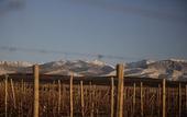 Туры в отель Auberge Du Vin, Tupungato, Mendoza Туры в отель Auberge Du Vin, Tupungato, Mendoza