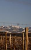 Туры в отель Auberge Du Vin, Tupungato, Mendoza Туры в отель Auberge Du Vin, Tupungato, Mendoza