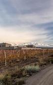 Туры в отель Auberge Du Vin, Tupungato, Mendoza Туры в отель Auberge Du Vin, Tupungato, Mendoza