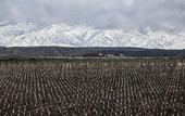 Туры в отель Auberge Du Vin, Tupungato, Mendoza Туры в отель Auberge Du Vin, Tupungato, Mendoza