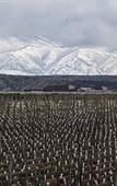 Туры в отель Auberge Du Vin, Tupungato, Mendoza Туры в отель Auberge Du Vin, Tupungato, Mendoza