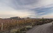 Туры в отель Auberge Du Vin, Tupungato, Mendoza Туры в отель Auberge Du Vin, Tupungato, Mendoza