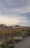 Туры в отель Auberge Du Vin, Tupungato, Mendoza Туры в отель Auberge Du Vin, Tupungato, Mendoza